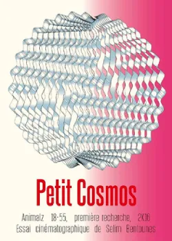 Affiche du film, Petit Cosmos